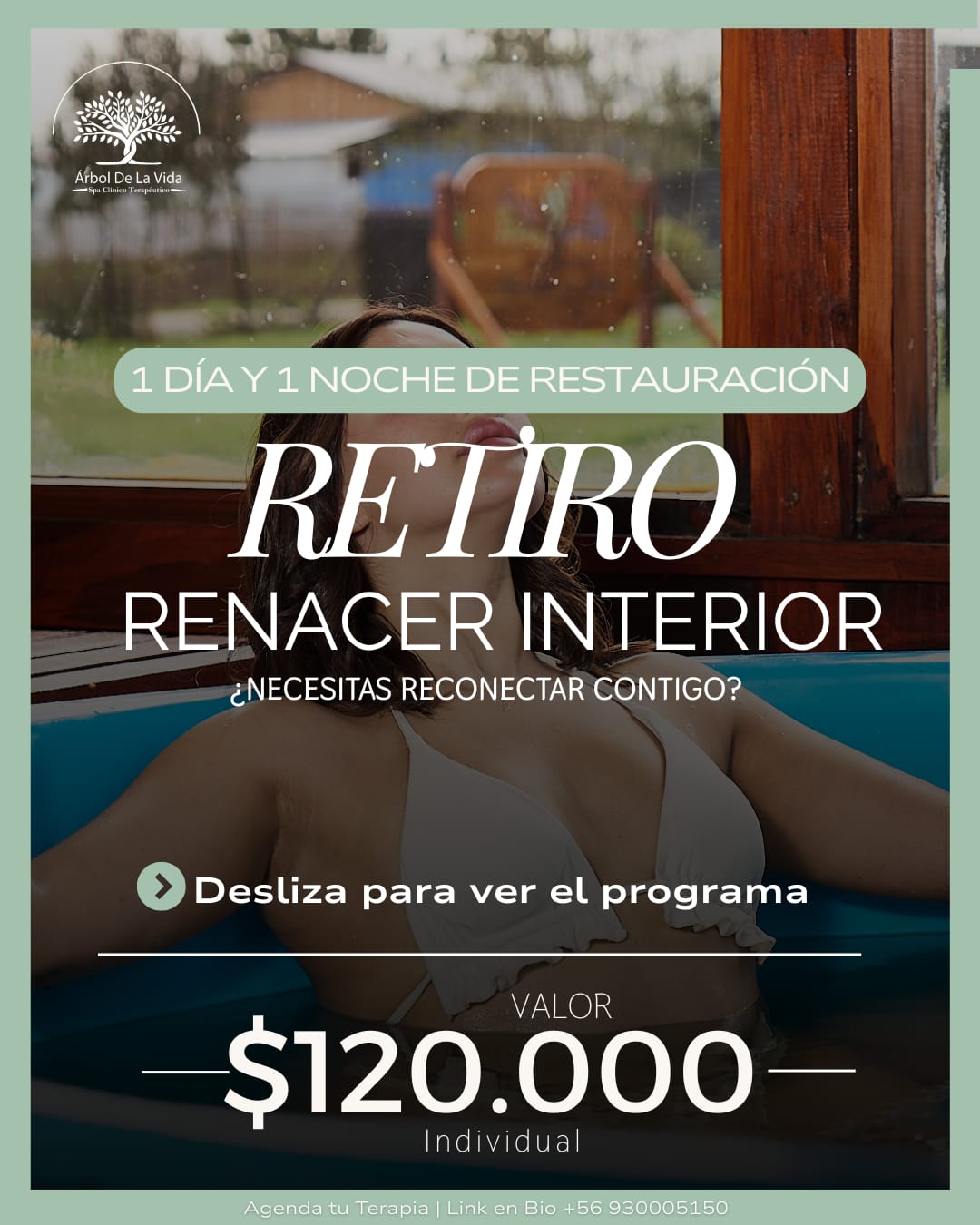 Story Retiro Renacer Interior · Árbol de la Vida